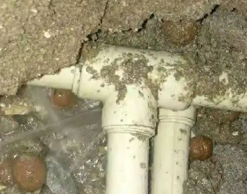 扎鲁特测漏水多少钱