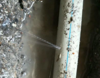 扎鲁特测漏水哪家好