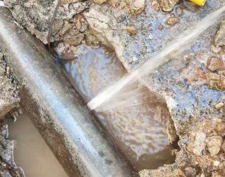 扎鲁特测漏水公司