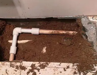 扎鲁特测漏水哪家好