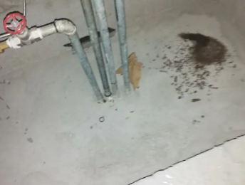 扎鲁特卫生间测漏水价格明细