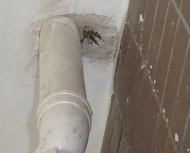 扎鲁特漏水检测哪家好